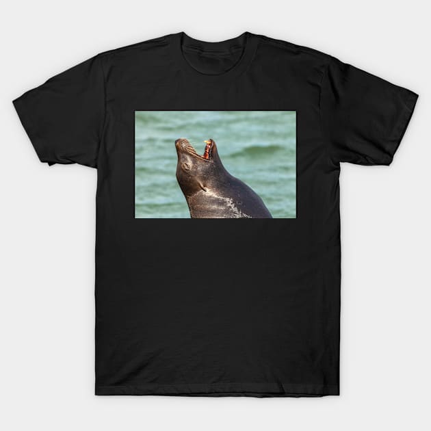 yawning T-Shirt by jvnimages